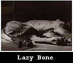 Lazy Bone (2003)