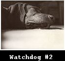 Watchdog #2 (2003)