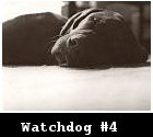 Watchdog #4 (2003)